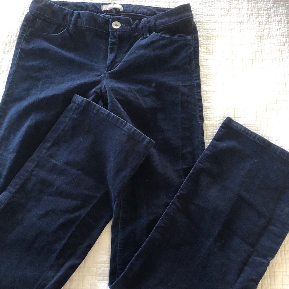 Deep navy bootcut/straight cords